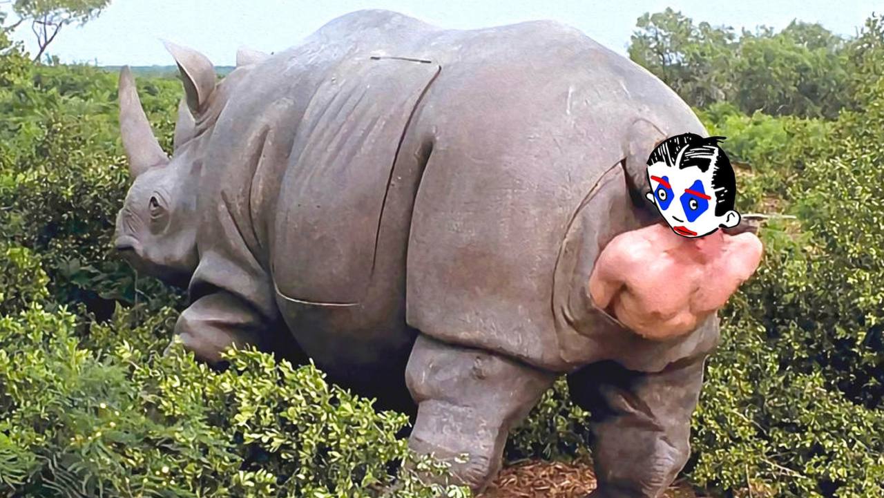 Rhino birth